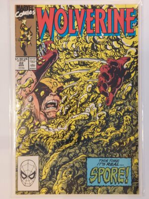 Wolverine #22 V2