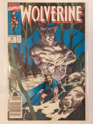 Wolverine #25 V2
