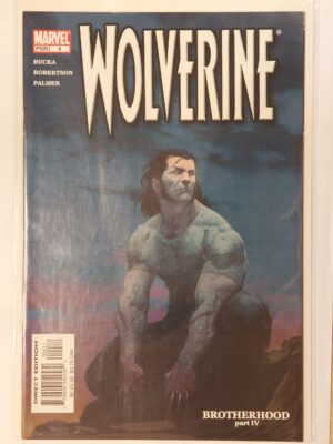 Wolverine #4 V3