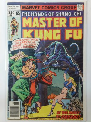 Master of Kung Fu #65