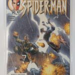 Peter Parker Spider-Man #47 V2