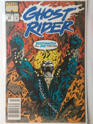 Ghost Rider #23 V2