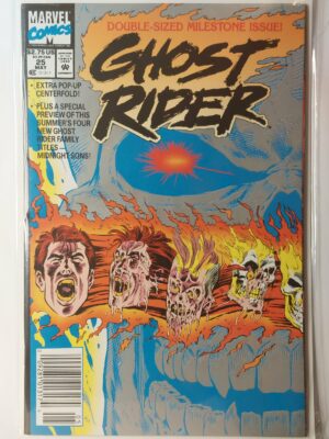 Ghost Rider #25 V2