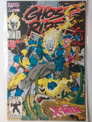 Ghost Rider #27 V2