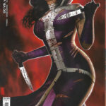 DC vs. Vampires #9B Mini