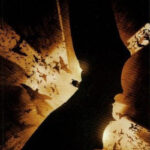 Batman Begins: The Official Movie Adaptation #1 One-Shot