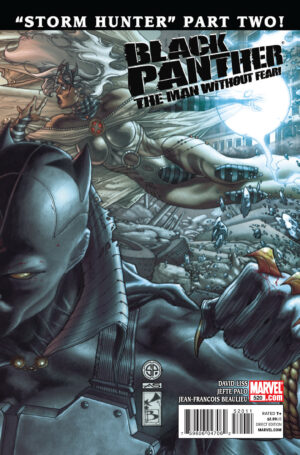 Black Panther: The Man Without Fear #520 V3
