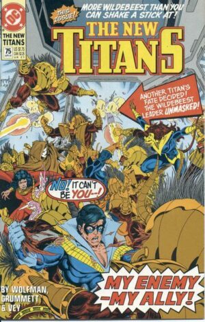 The New Titans #75 V2